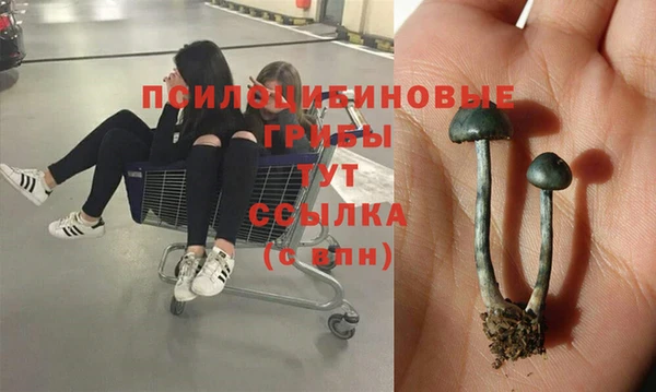 скорость Козельск