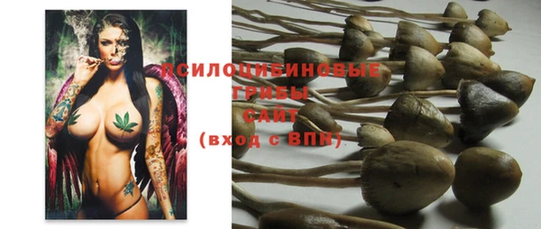 индика Козловка